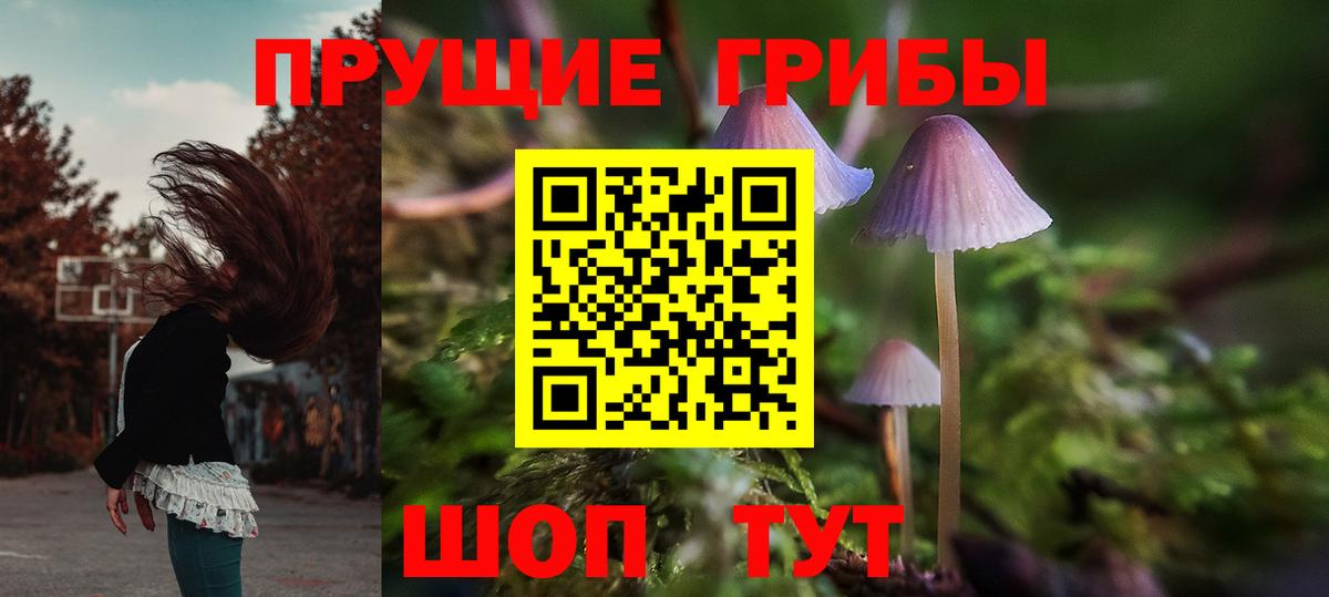 Галлюциногенные грибы MAGIC MUSHROOMS Мценск